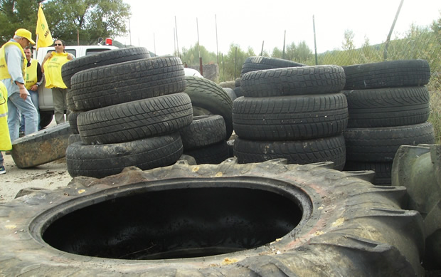  Puliamo il Mondo 2015