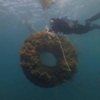 EcoTyre PFU Zero nelle isole minori